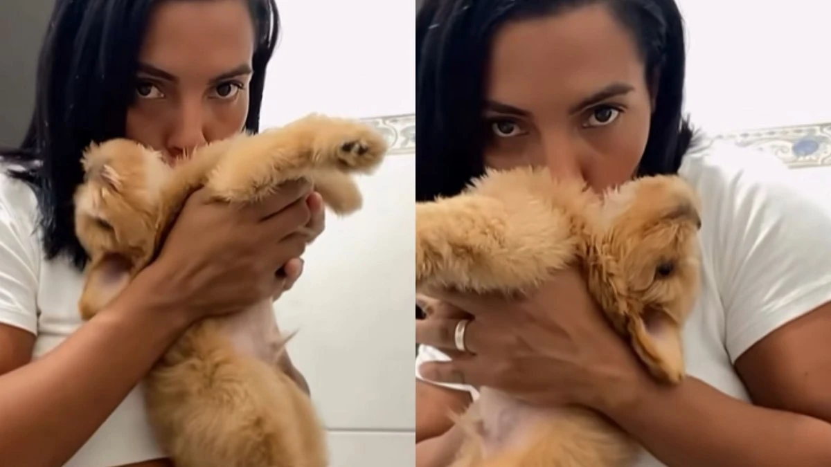 Cachorrinho fica relaxado com carinho no pescoço