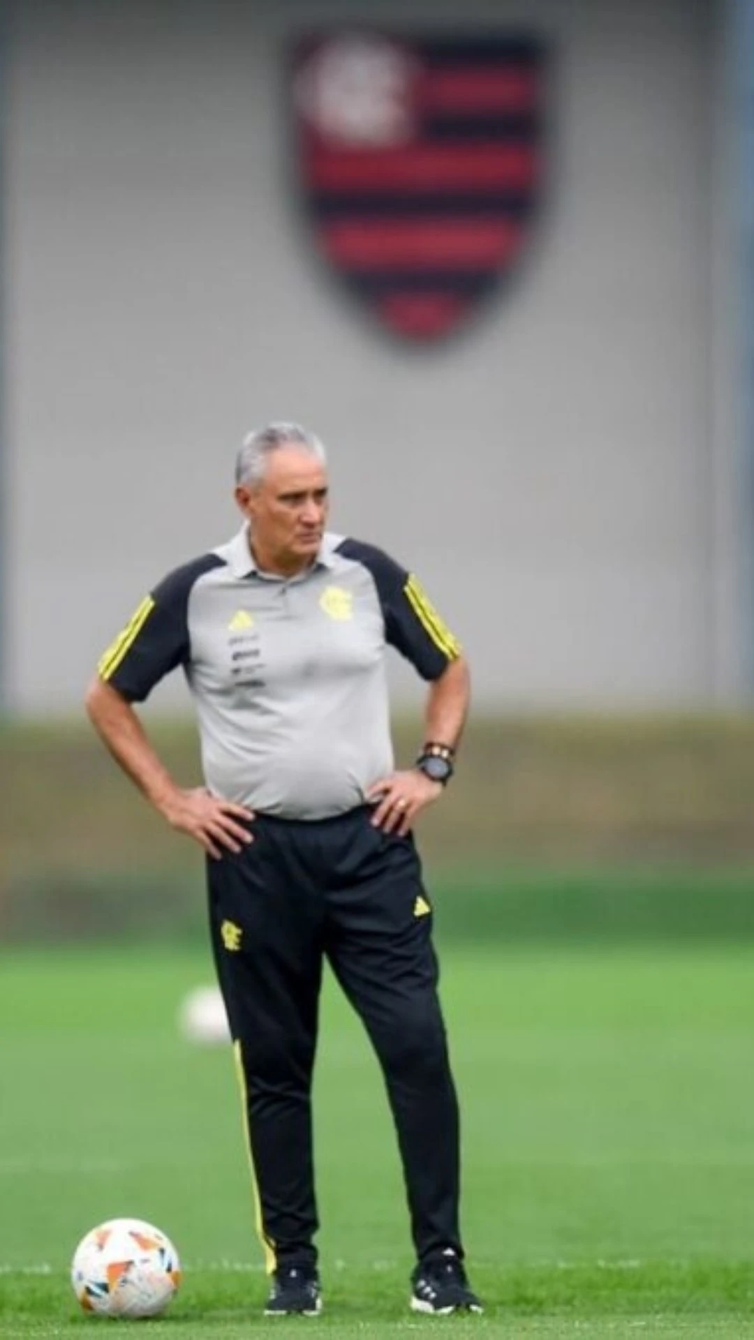 Flamengo pode ter elenco completo diante do Criciúma