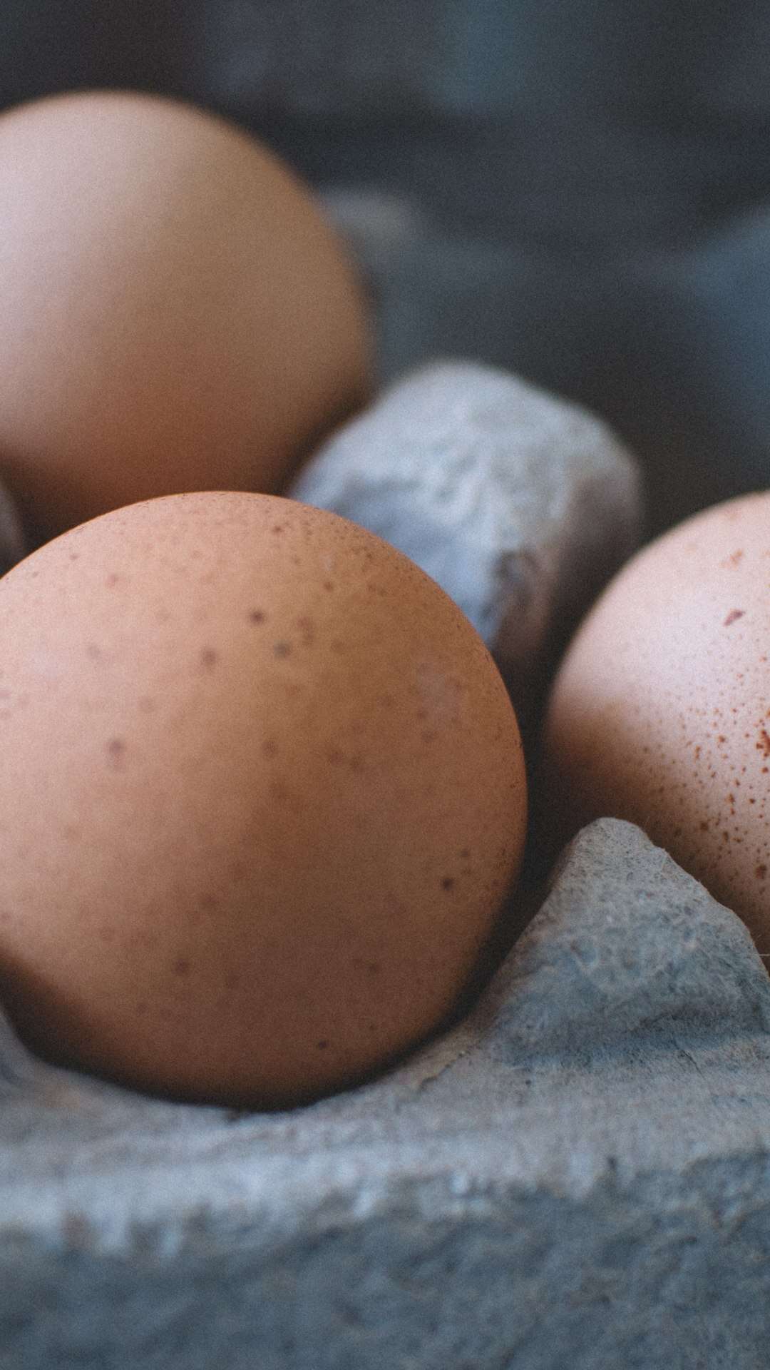 Gestante pode comer ovo? Nutricionistas listam benefícios e quantidade ideal