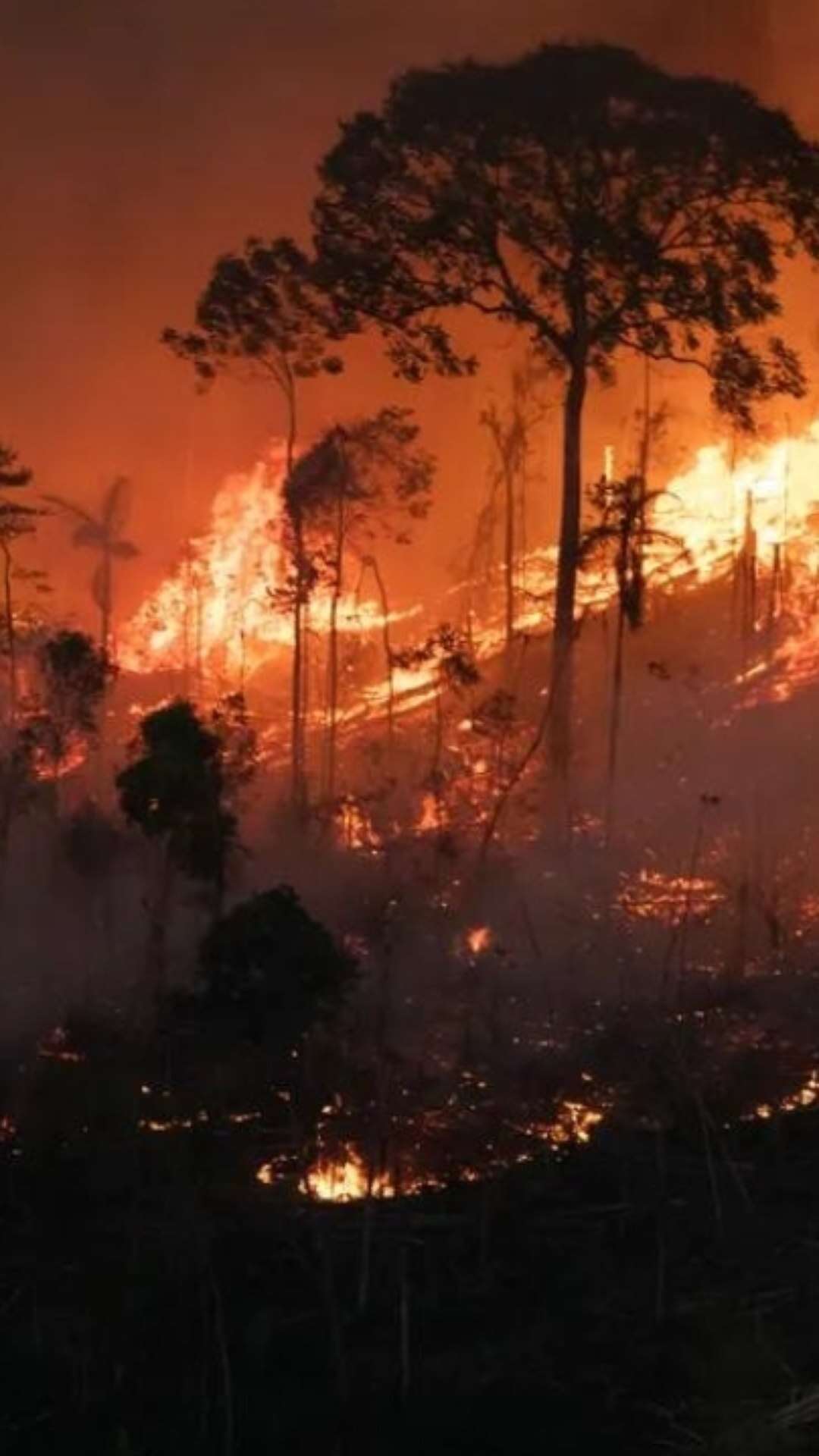 Unicamp 2025: 7 atualidades do ano que podem cair na prova