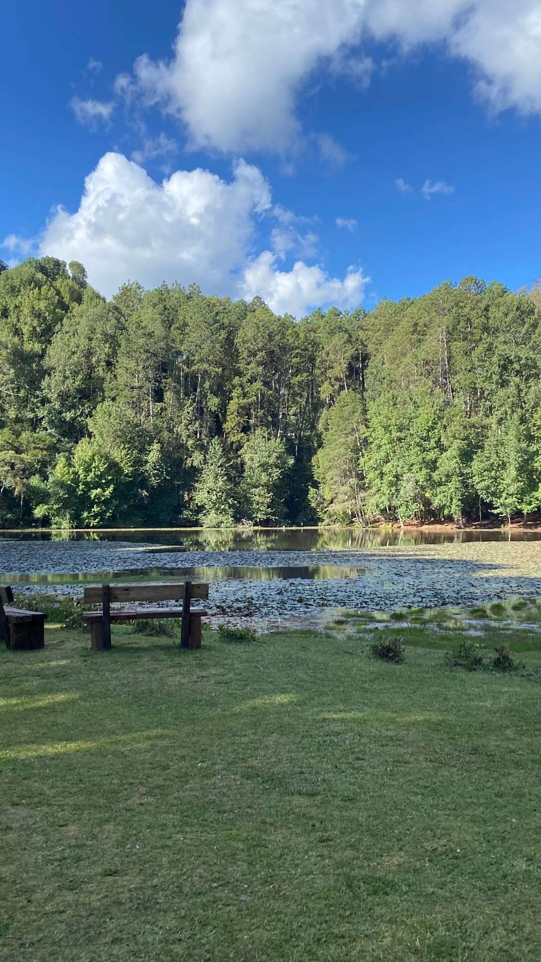 Campos do Jordão: lindos cenários no novo e imperdível Parque Bambuí