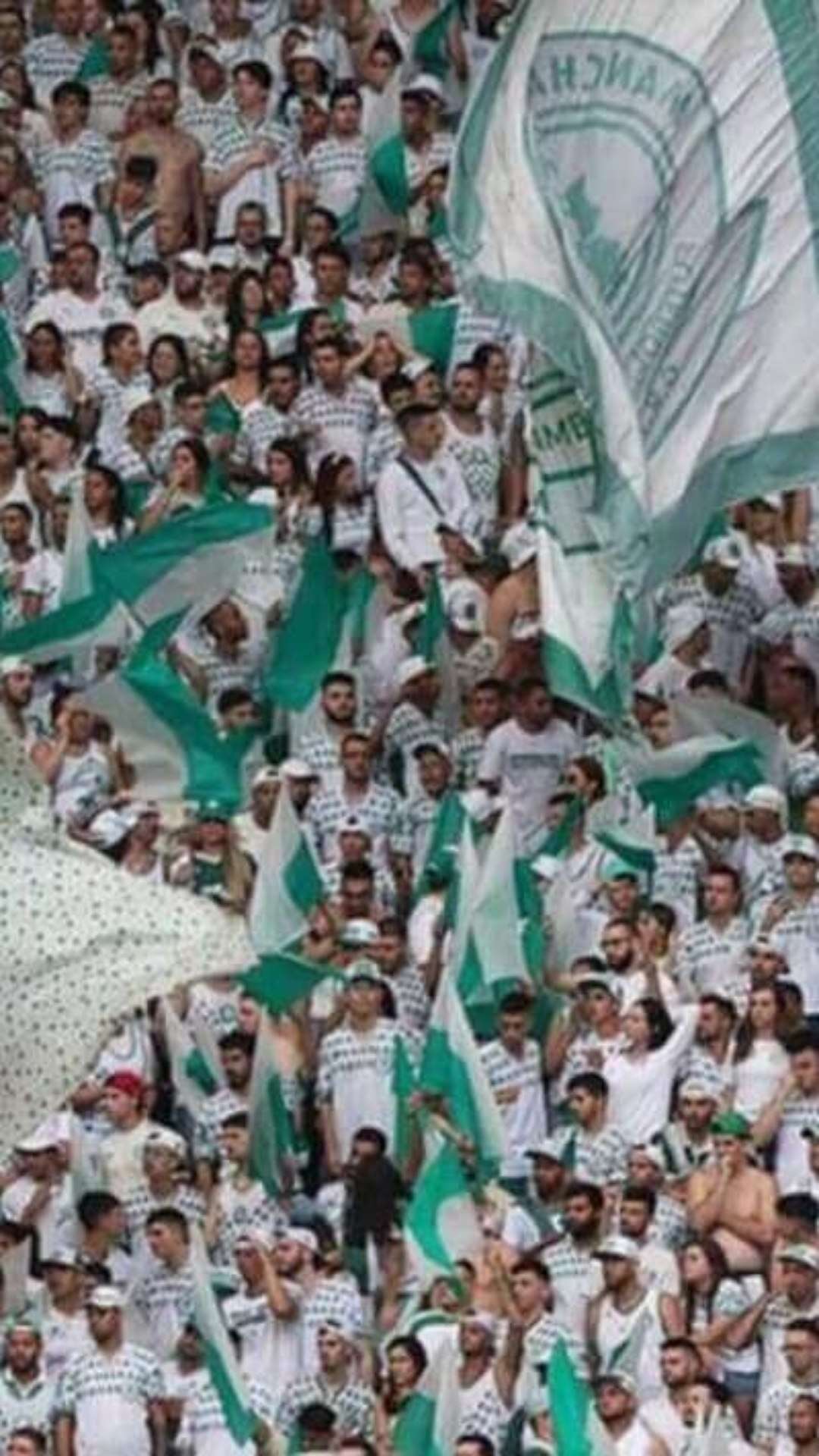 Torcedor investigado por exibir pênis em estádio é banido de jogos do Palmeiras; saiba prazo