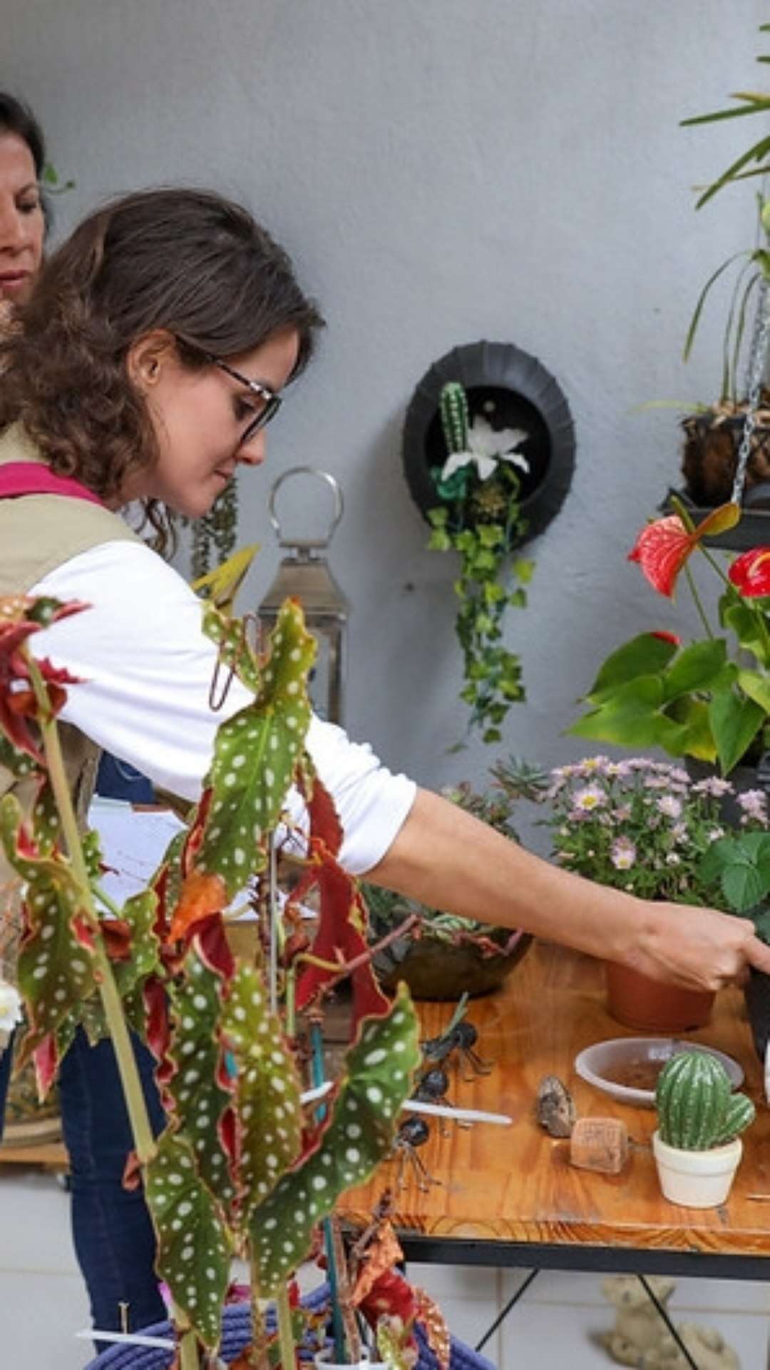 Ação preventiva contra a dengue visita e orienta moradores da Asa Sul