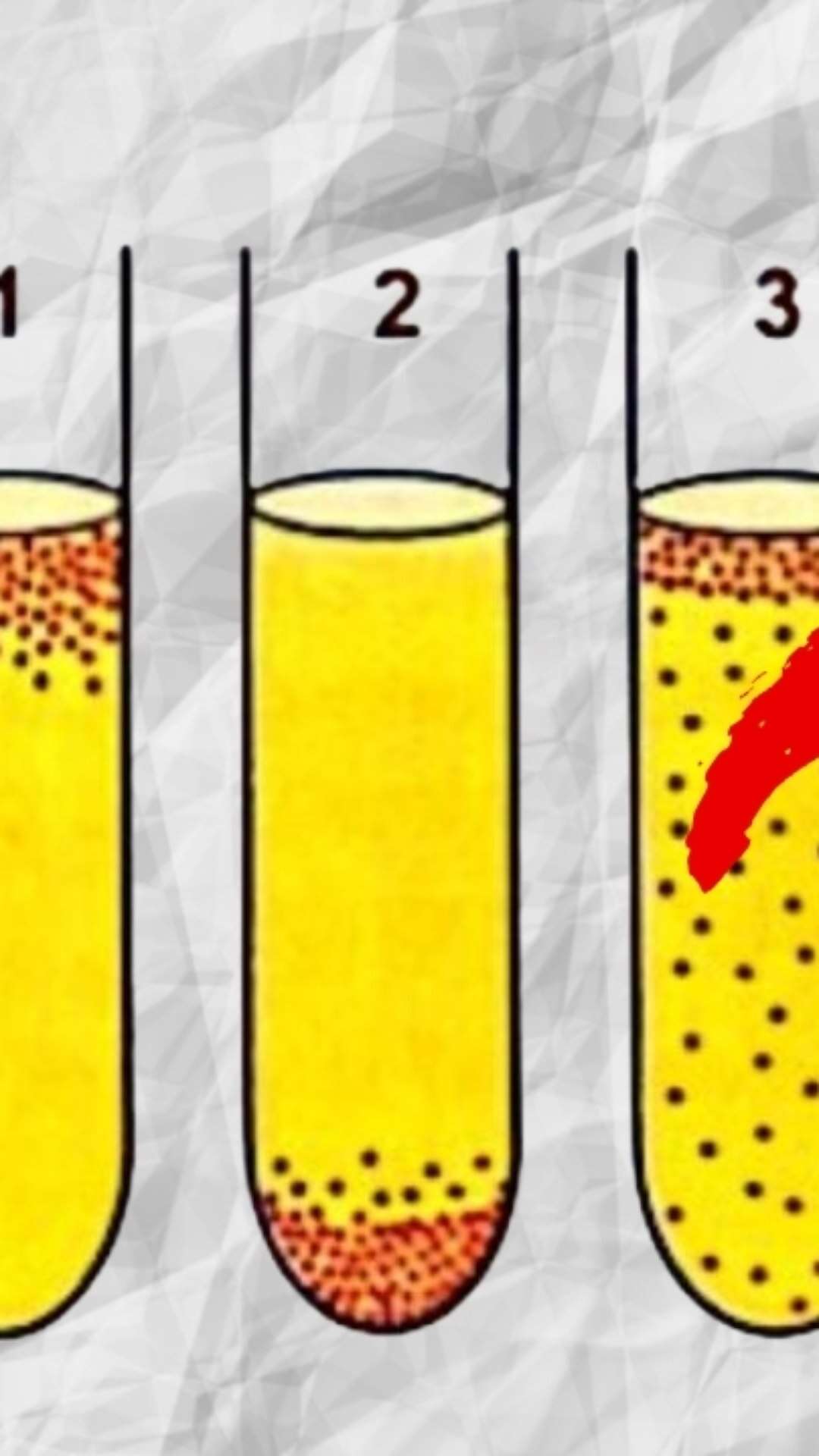 Questão de biologia do Enem 2024 já caiu em outro vestibular; veja qual