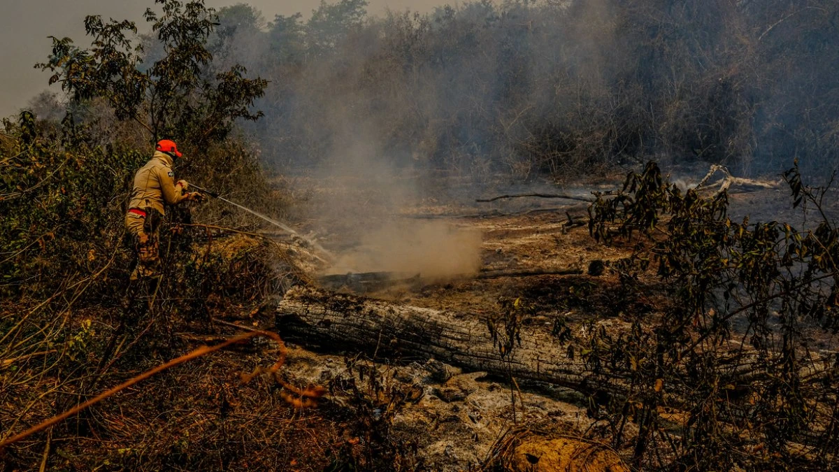Incêndio volta a atingir Parque Encontro das Águas no Pantanal