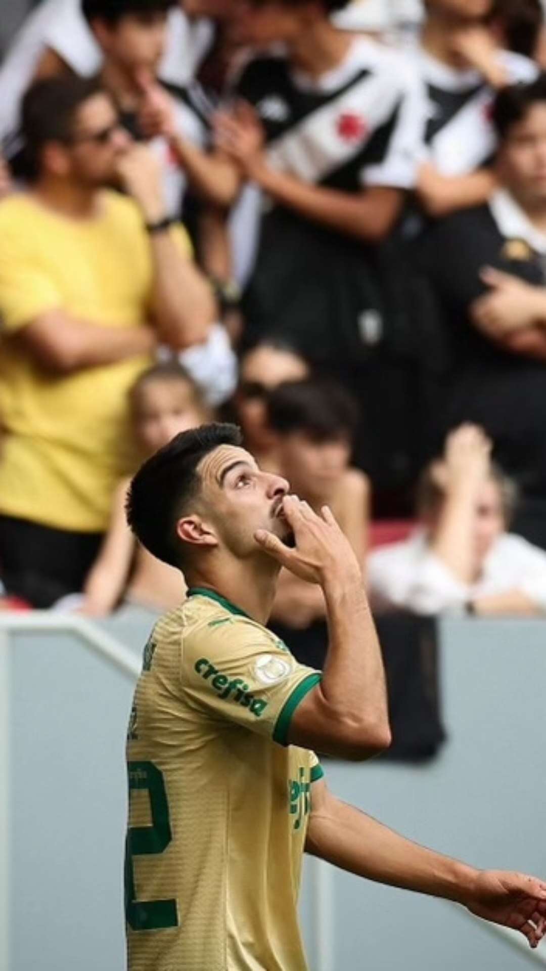 Lance causa revolta do torcedor do Vasco, na partida contra Palmeiras