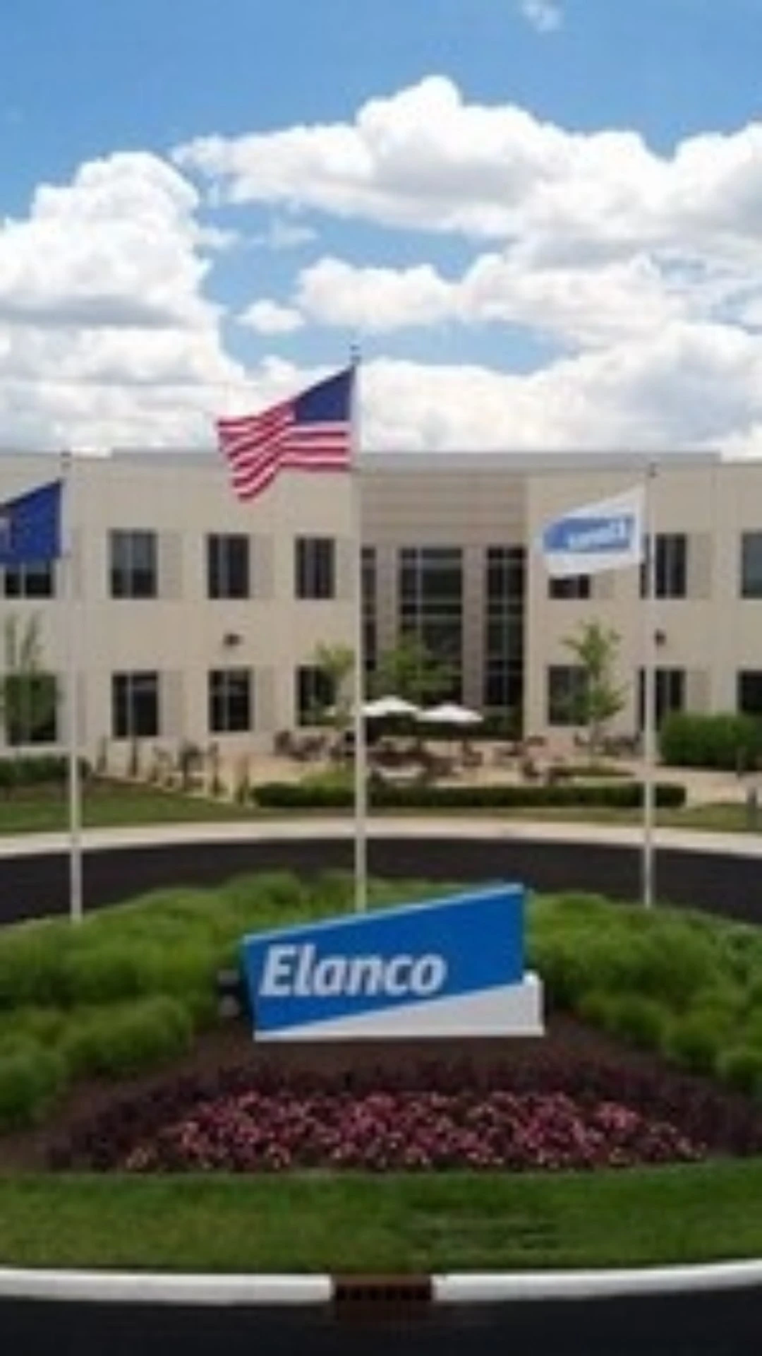 Elanco Saúde Animal supera expectativas e cresce 8% em receita no 2º trimestre de 2025