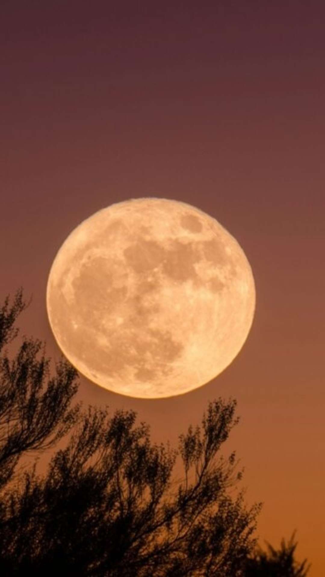 Astrologia da semana de 13 a 19/10: Lua Cheia altamente crítica