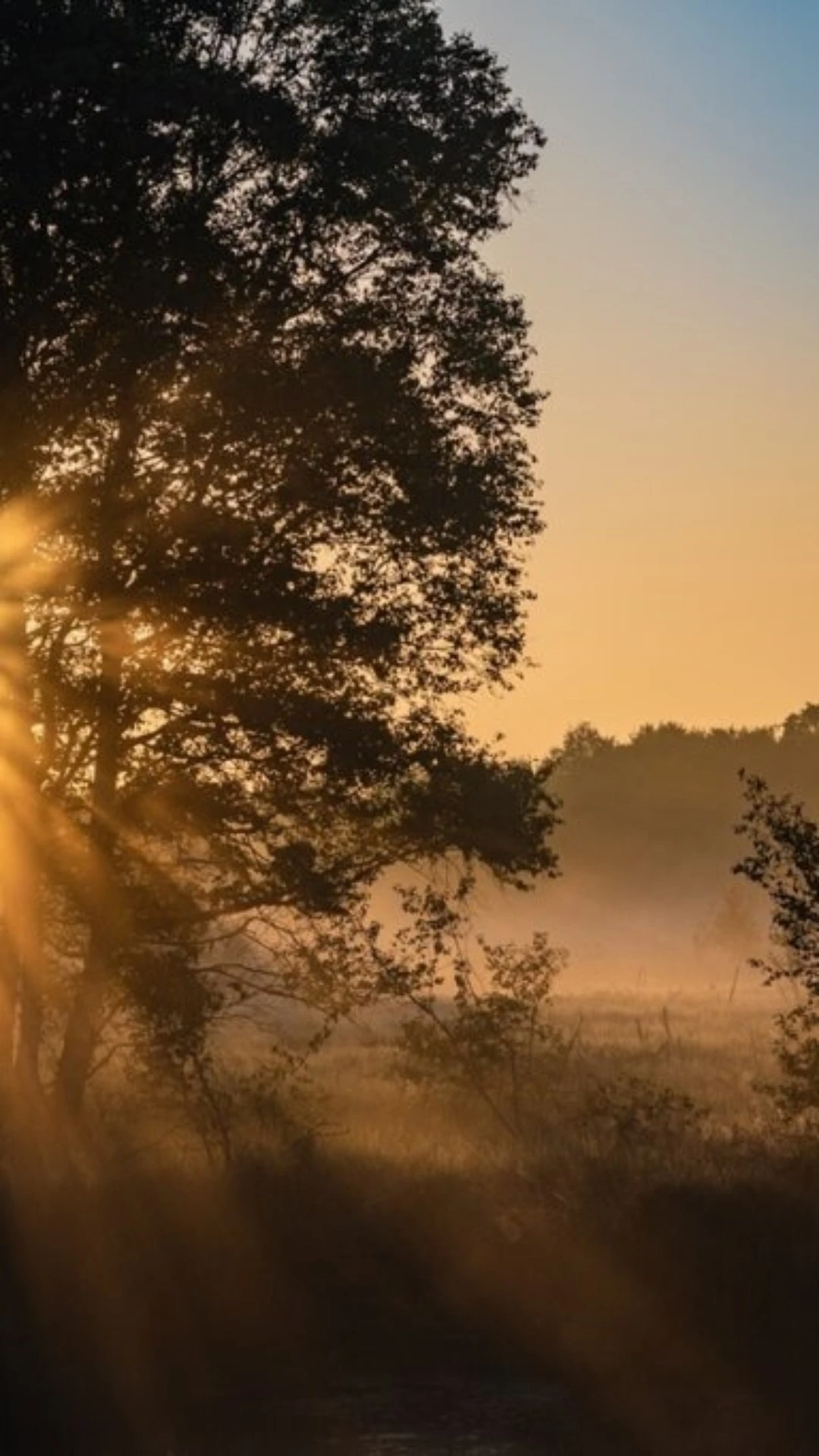 Tudo sobre o Solstício de Inverno