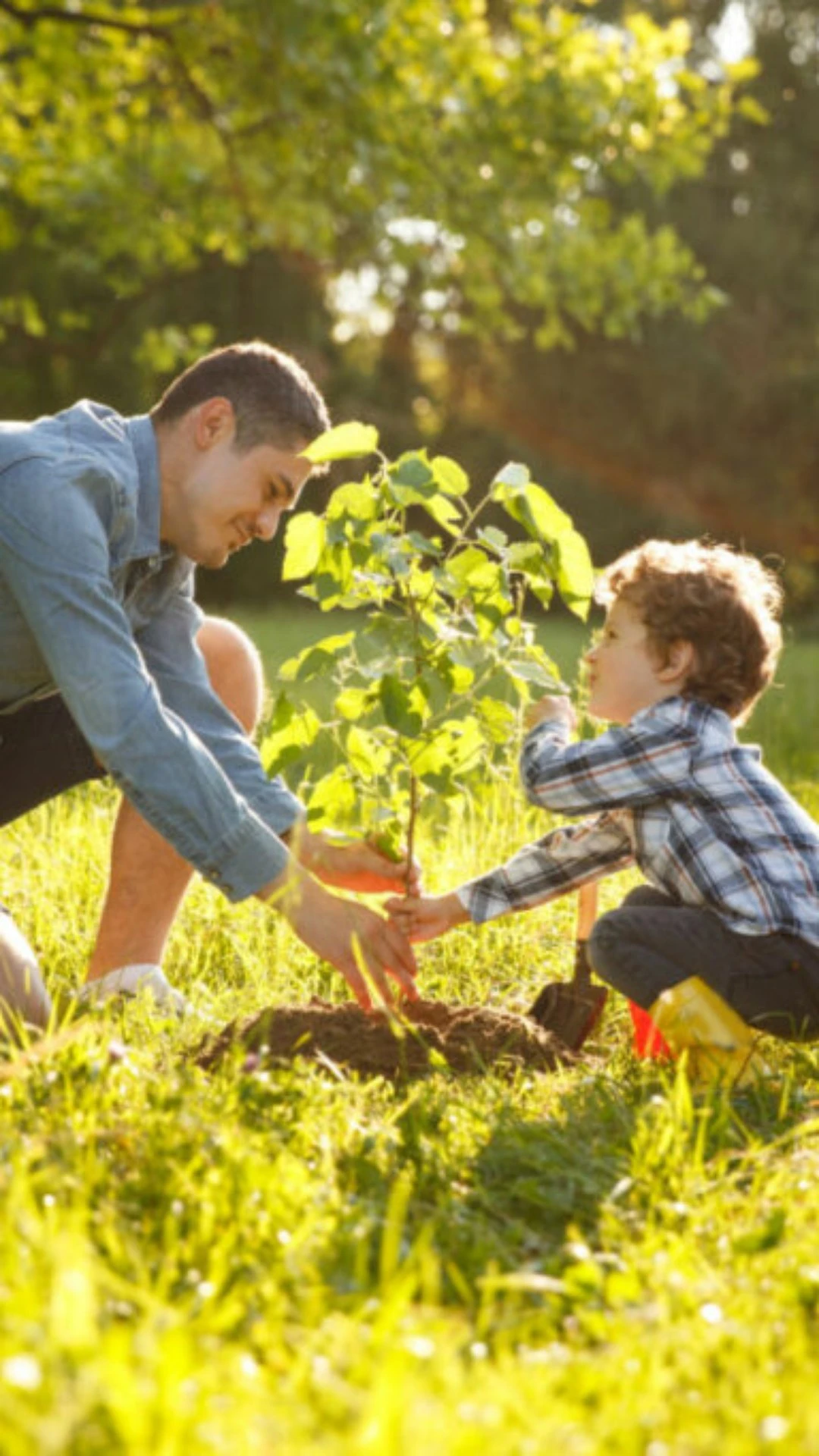 Confira resumo sobre os temas de ecologia cobrados nos vestibulares