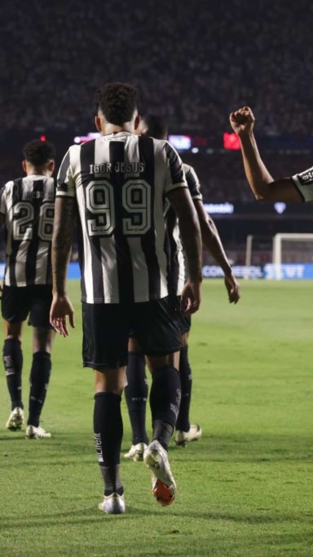 Botafogo comemora classificação histórica e já mira o Grêmio pelo Brasileirão