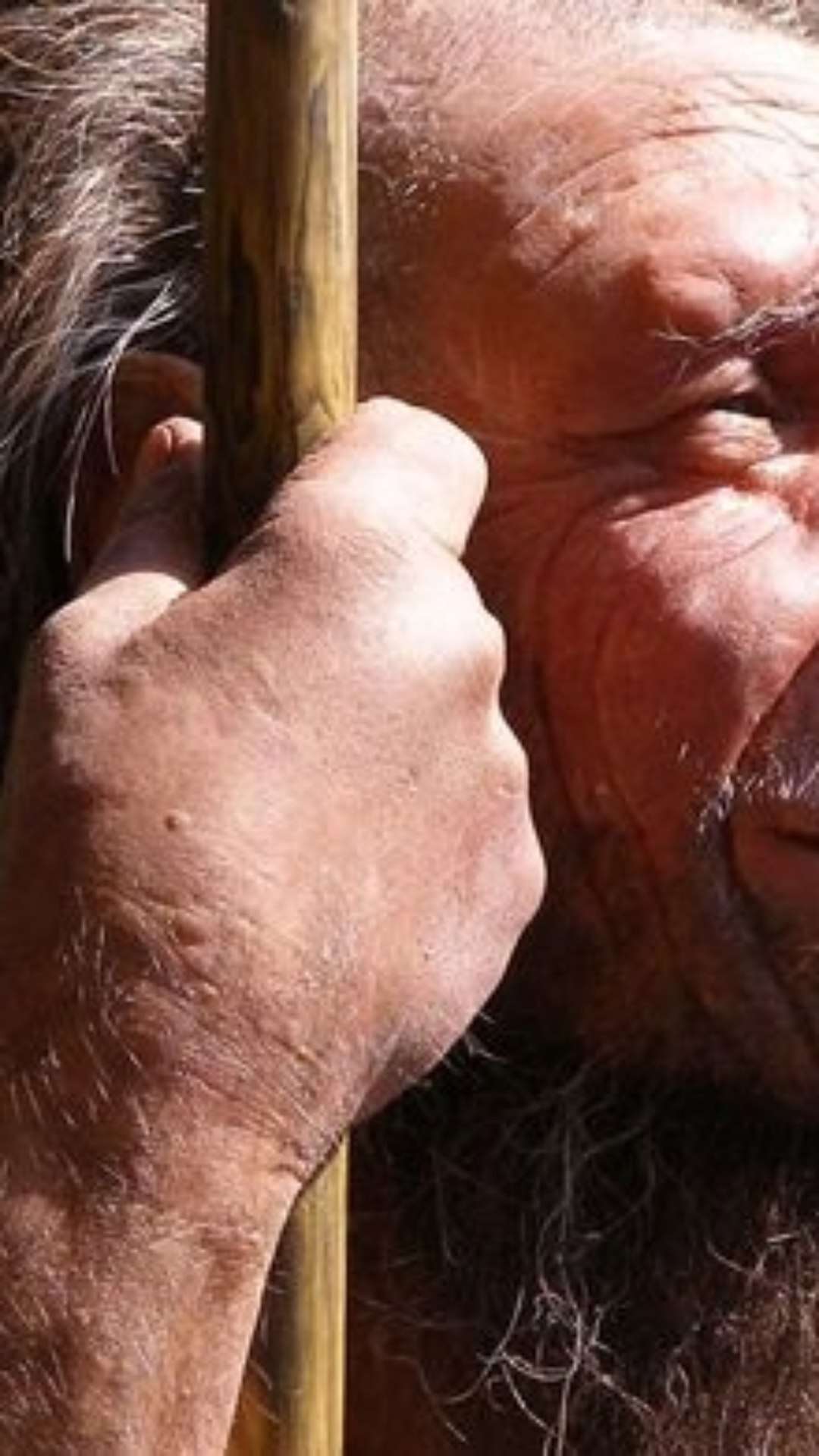 DNA neandertal explica motivo de alguns gostarem de acordar cedo