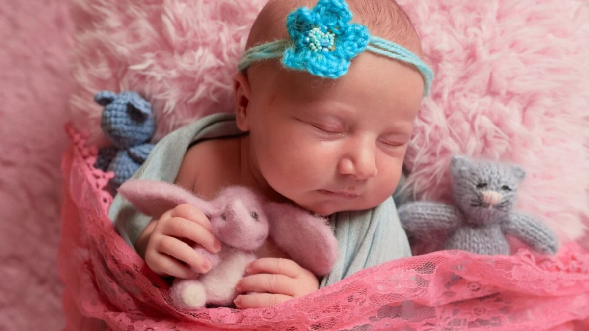 Por que as pessoas compram e quanto custa uma boneca reborn?