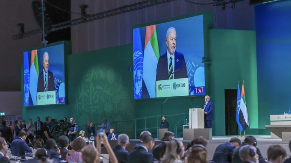 Quem vai apostar nos fundos brasileiros de proteção às florestas