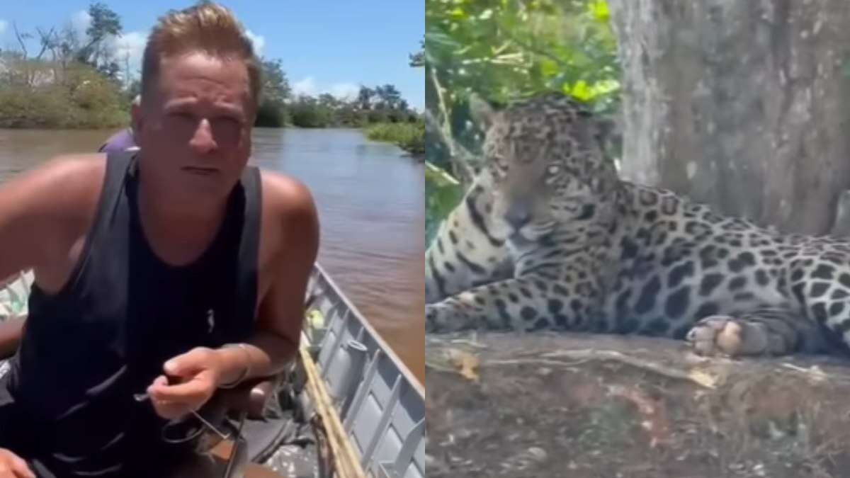 Leonardo flagra onça-pintada durante pesca no Pantanal