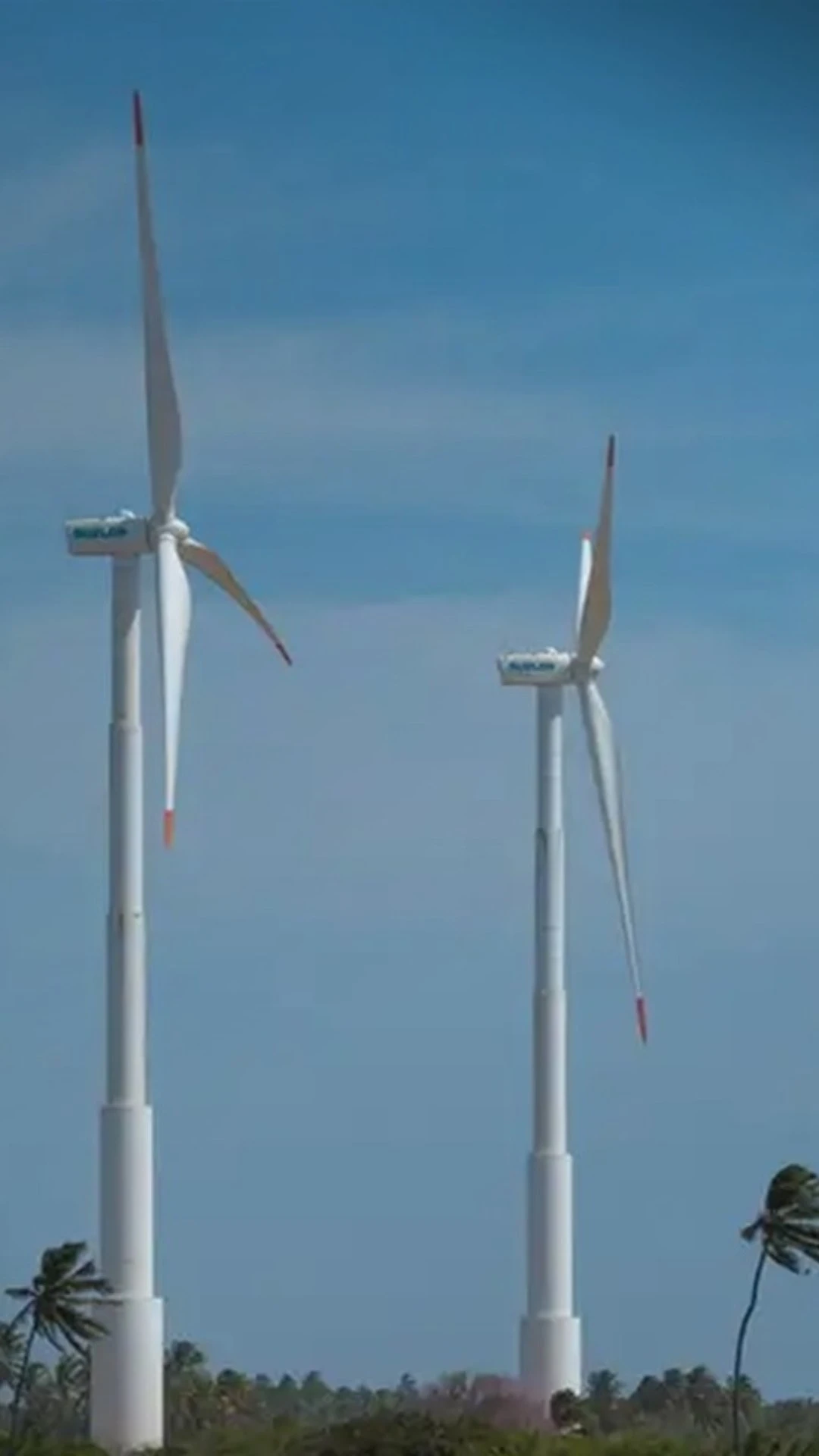 Economia verde desperta otimismo sobre geração de emprego