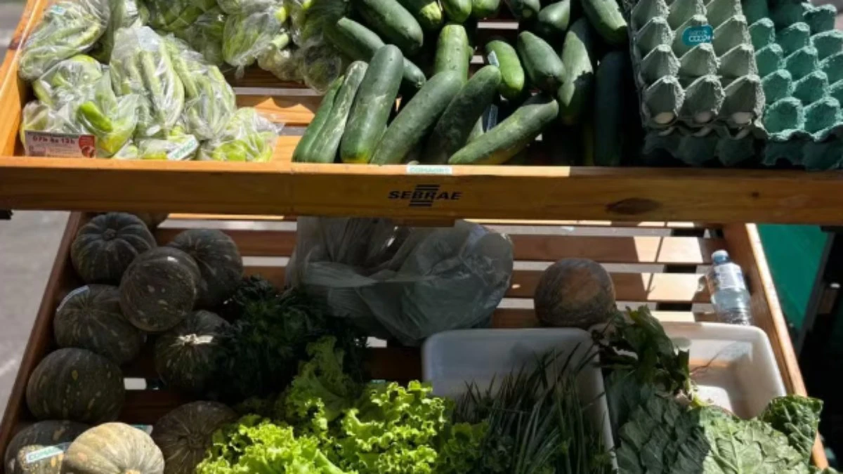 Feira Tucuju da Agricultura Familiar chega à 3ª edição no Amapá