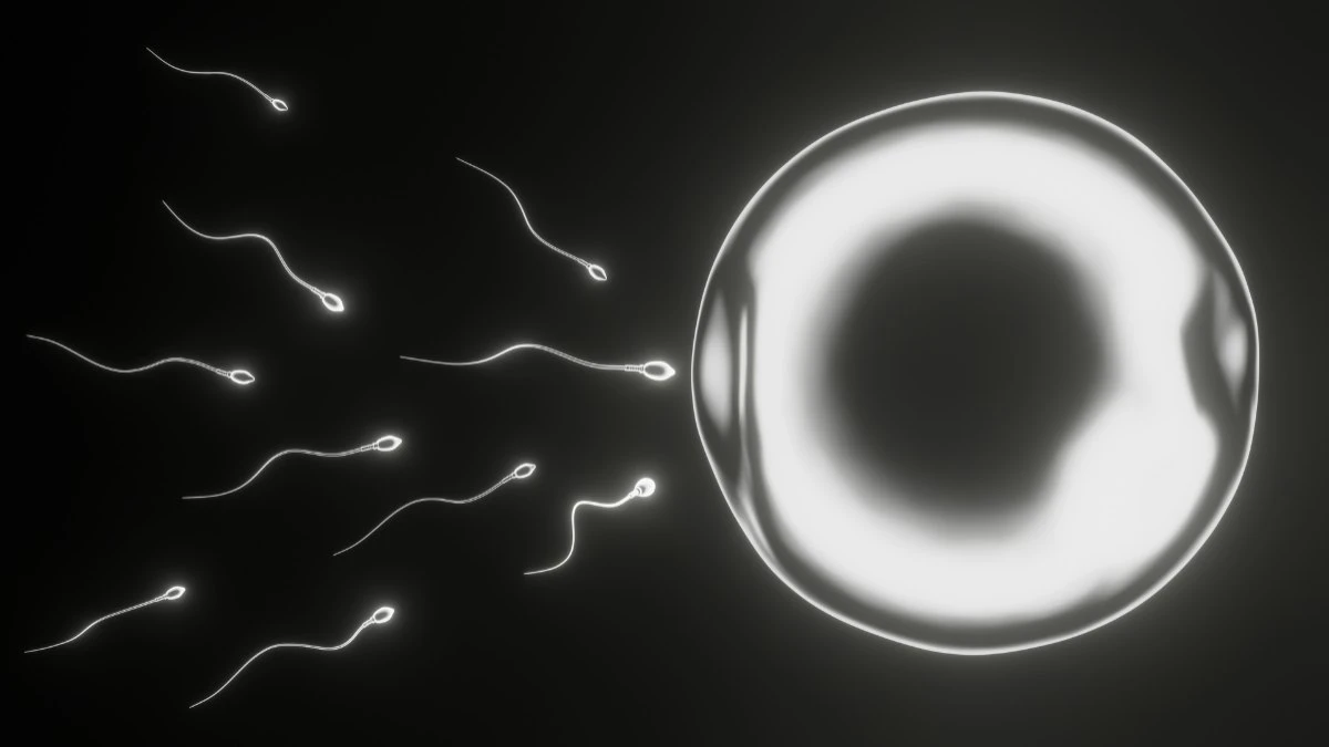 Fertilidade exige planejamento e atenção à saúde do casal
