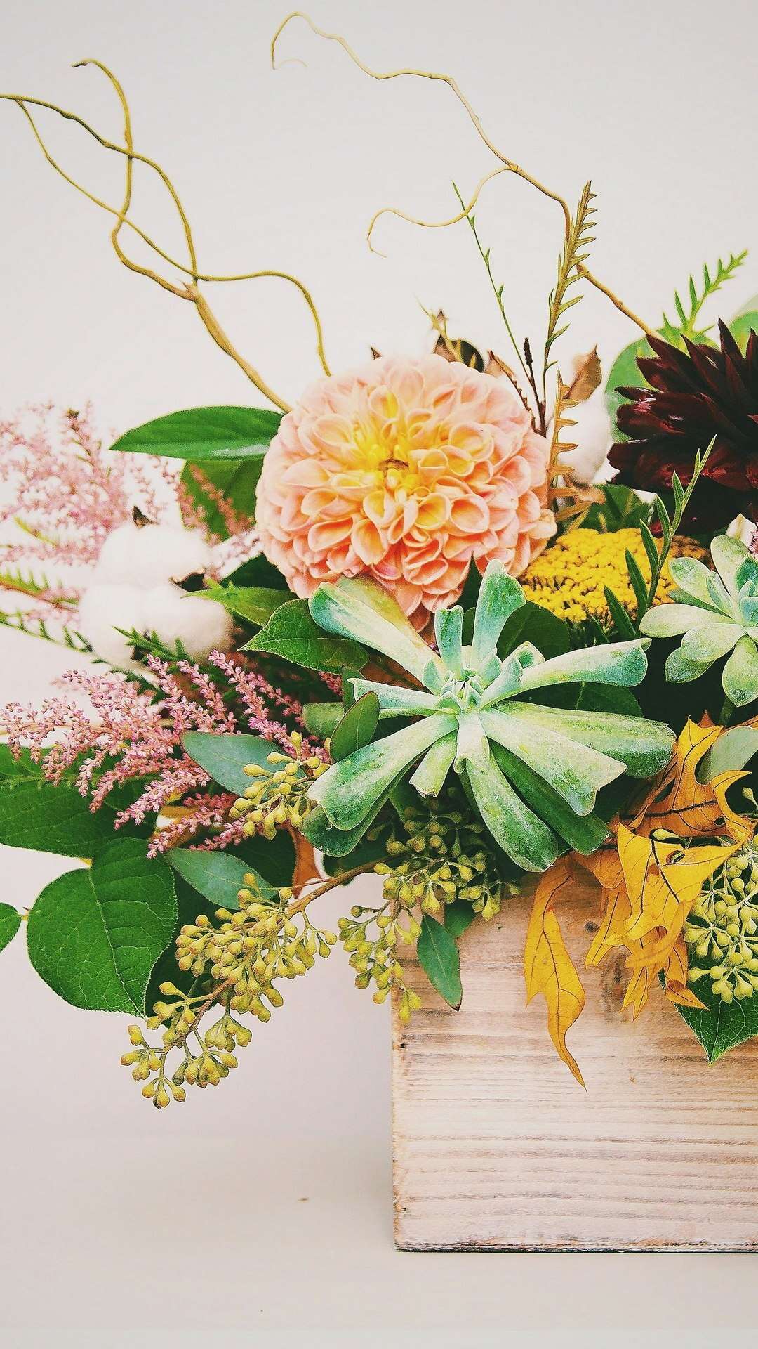 11 plantas e flores que vão fazer você se sentir mais feliz em casa