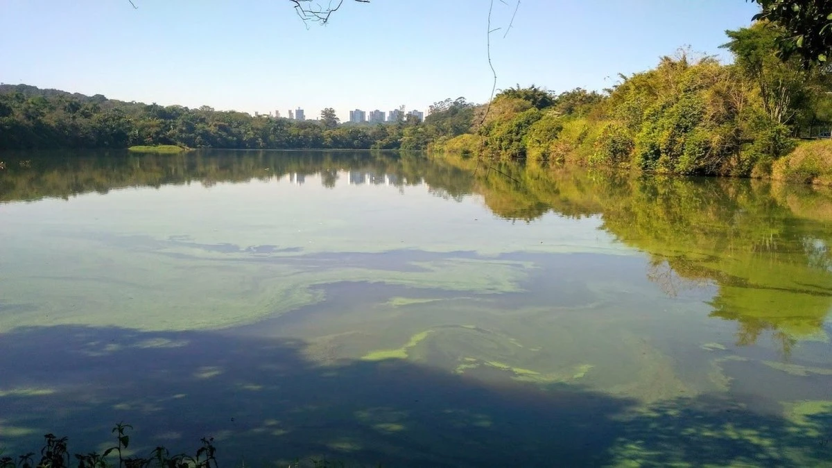 Lago das Garças expõe século de poluição por metais em São Paulo