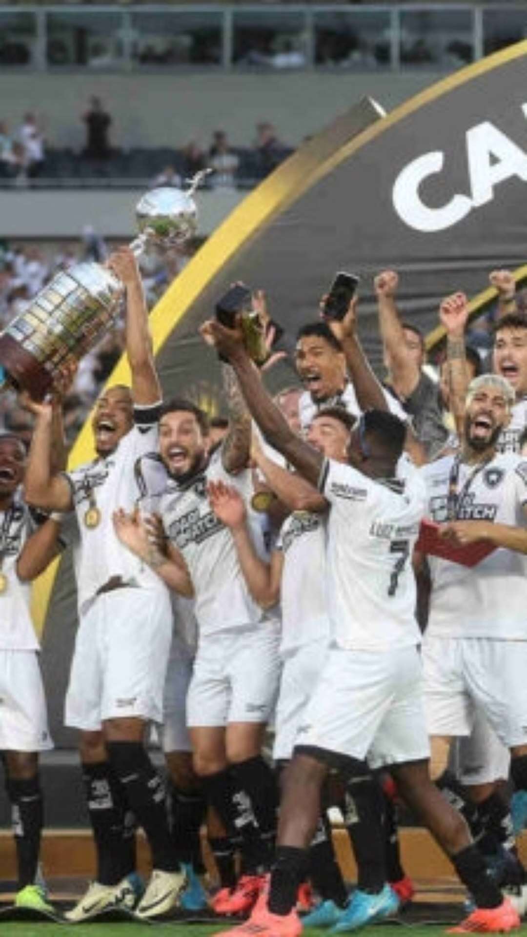 Botafogo tem oito na lista de melhores da Libertadores-2024