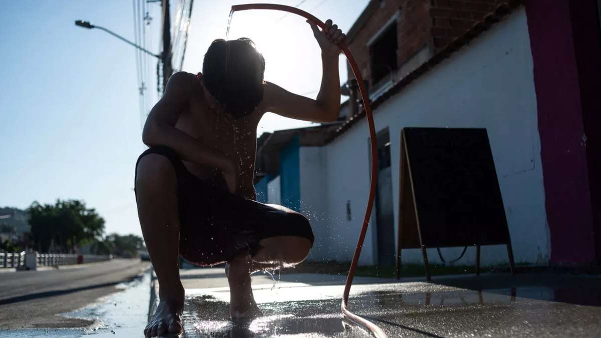 Como ondas de calor afetam a saúde humana, de plantas e animais?