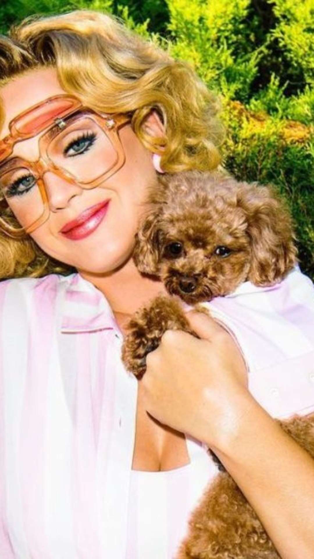 Dieta vegana para cão faz bem? Entenda polêmica decisão de Katy Perry