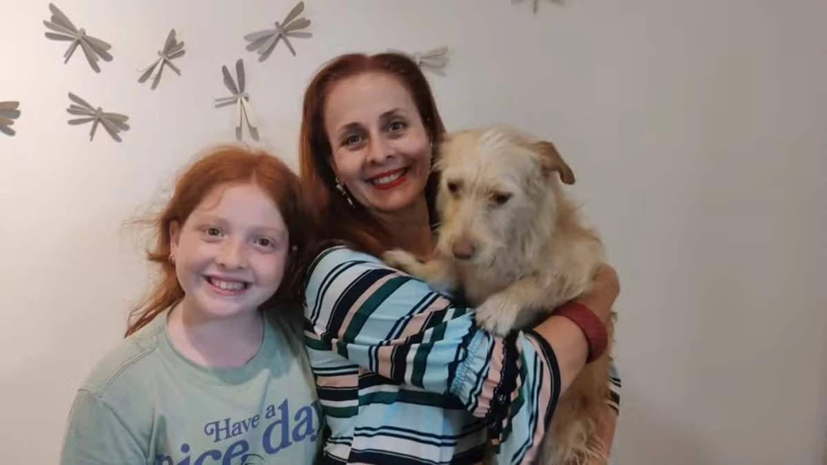 Cachorra que sobreviveu a enchente no RS se adapta em lar em SP