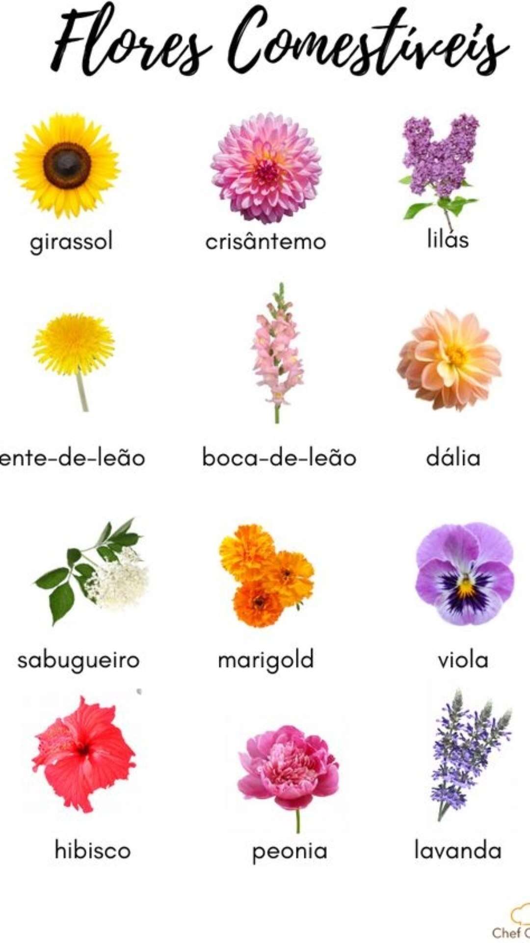 Da minha cozinha para a sua: Eu vejo flores em você