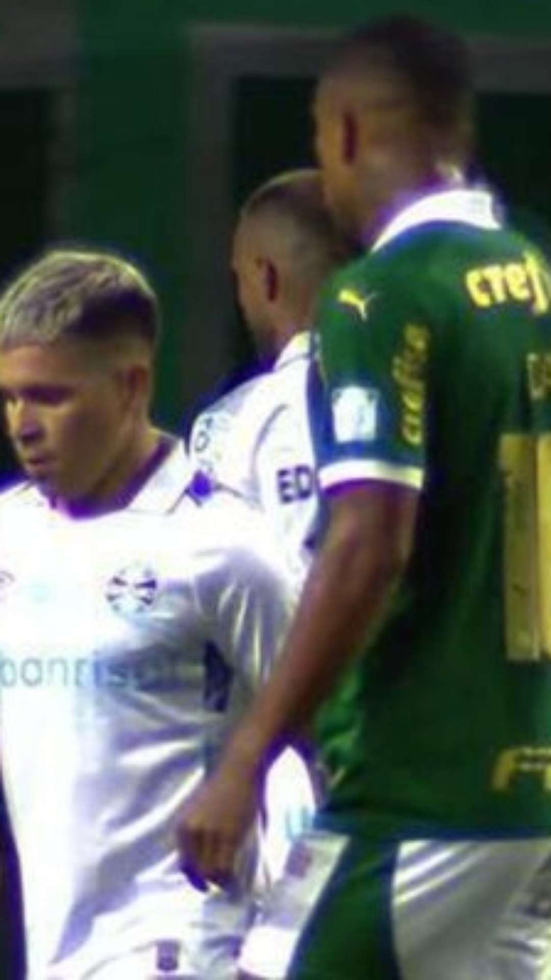 Palmeiras martela no Allianz, vence Grêmio com gol de Estêvão e passa a secar líder Botafogo