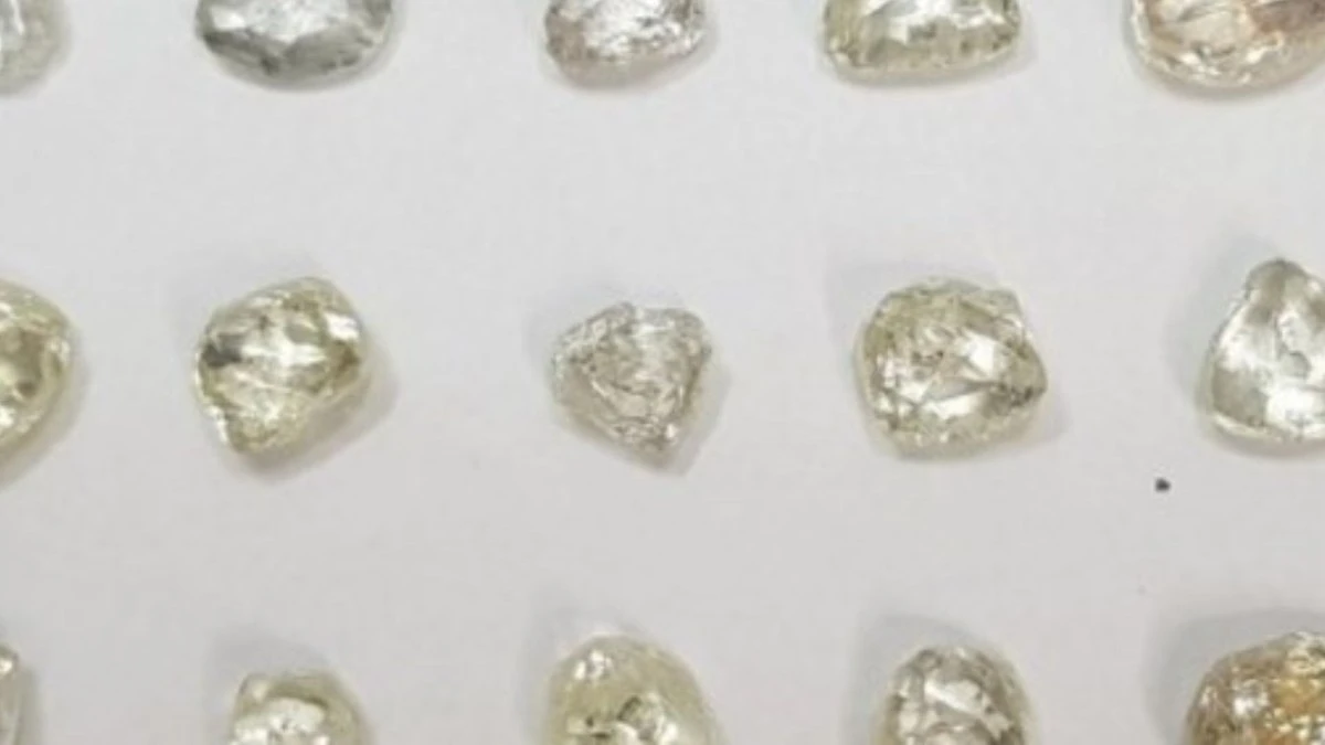 Ministério vai leiloar diamantes, bolsas de luxo e veículos