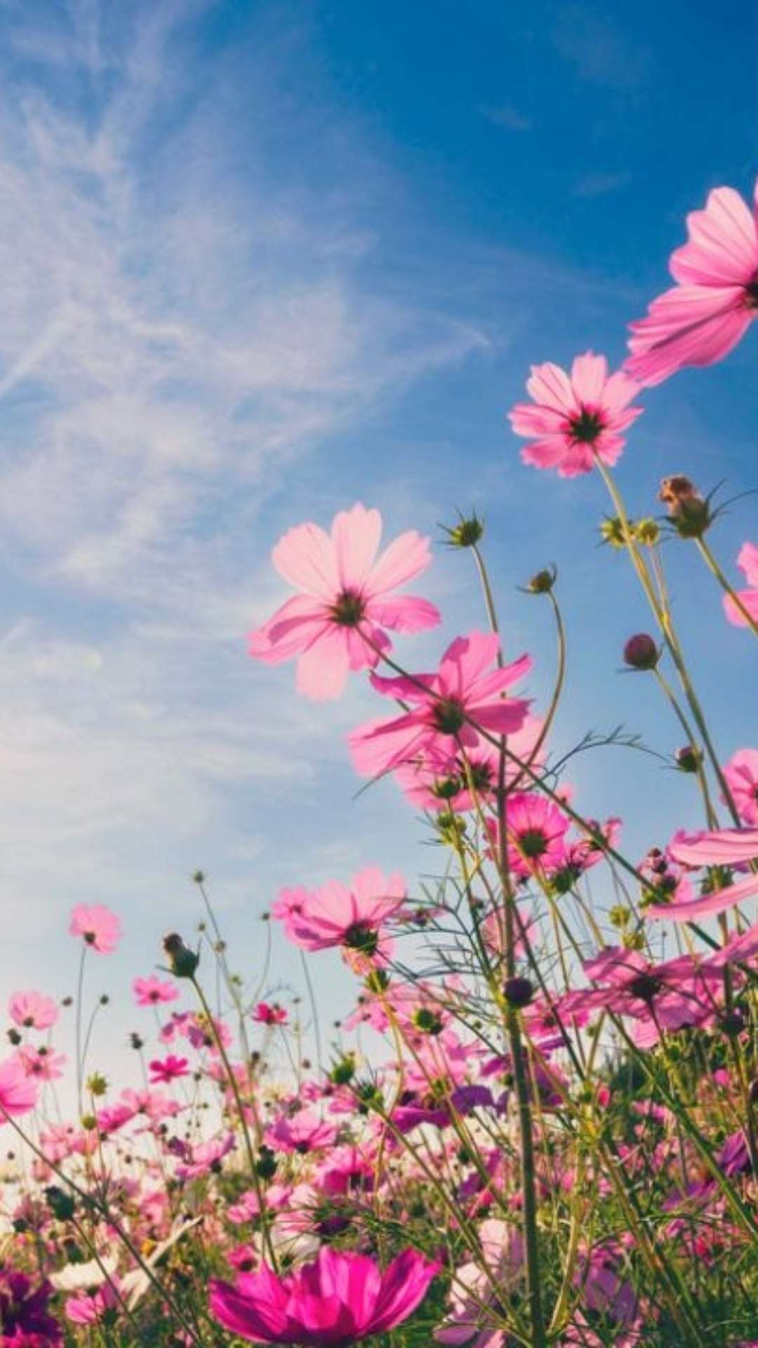 Menos chuva e mais calor? Veja como será a Primavera este ano