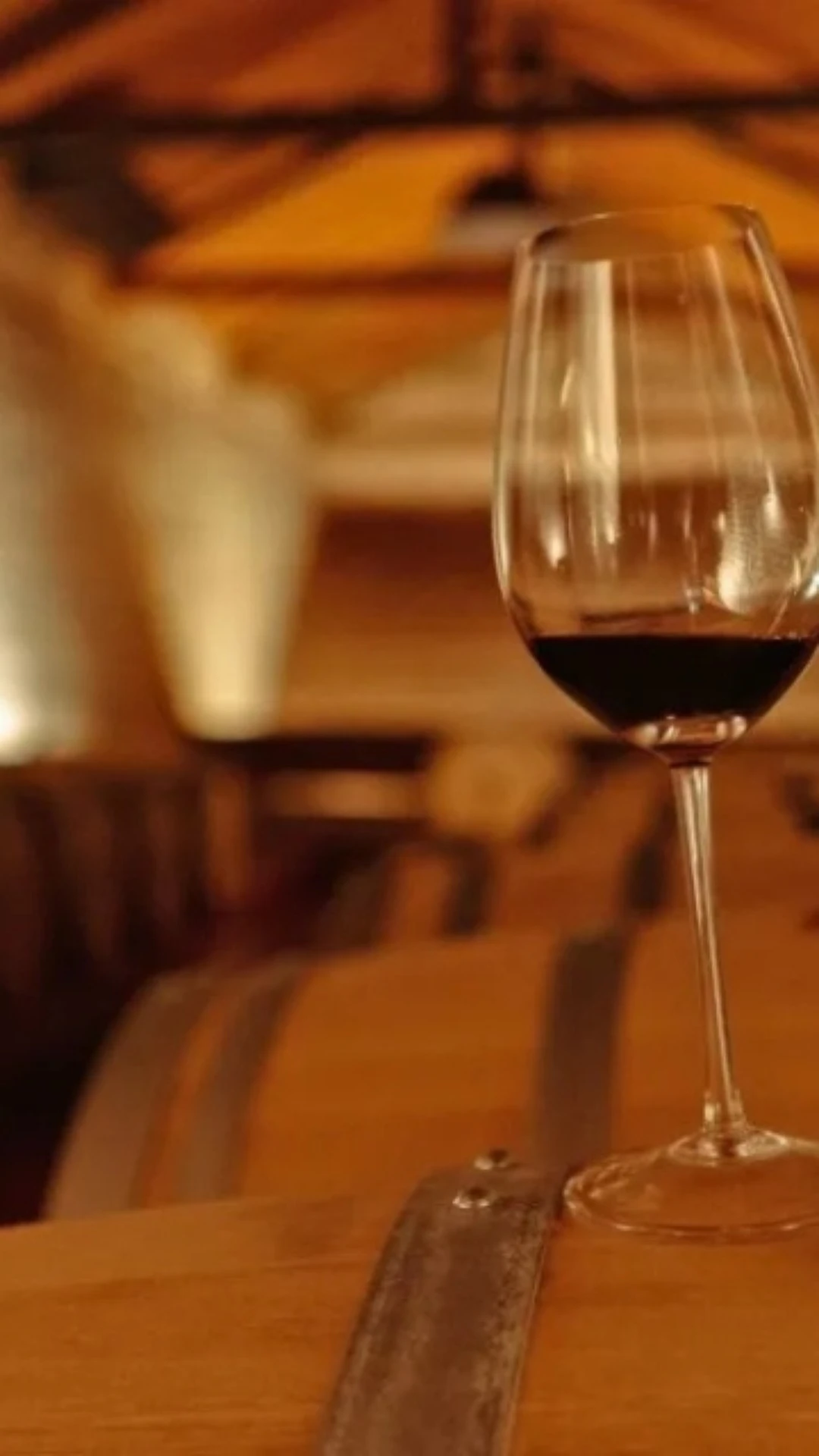 Adriana Nasser: Brasil conquista 145 medalhas no Decanter World Wine Awards 2025