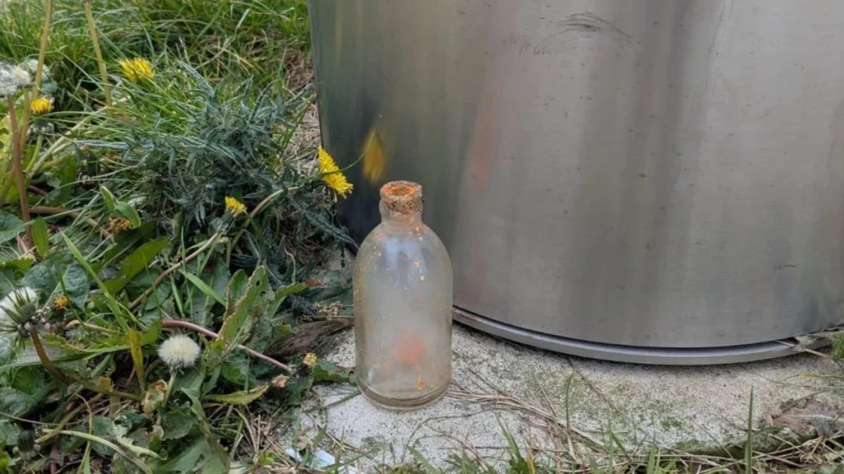 Garrafa da Segunda Guerra explode e incendeia guia de cachorro