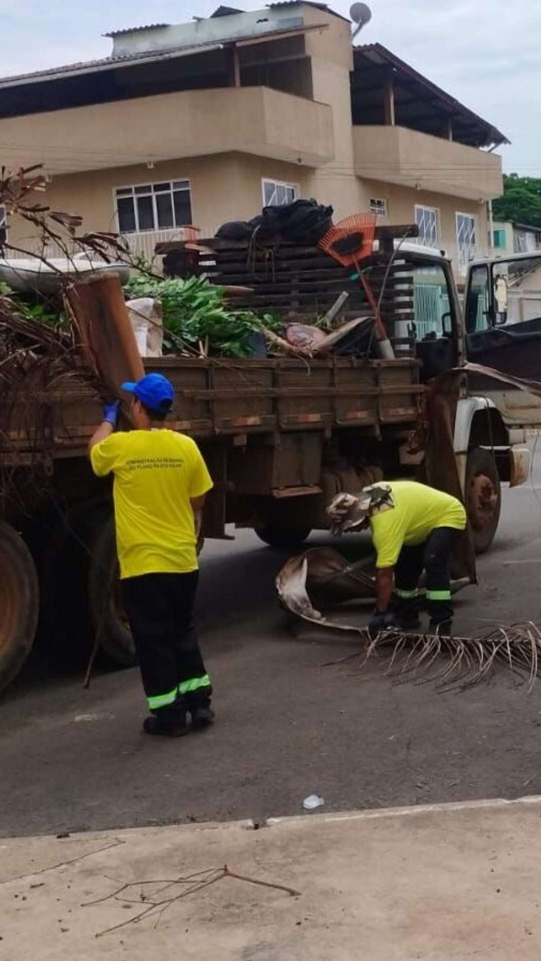 Plano Piloto realiza força-tarefa para limpeza e combate à dengue