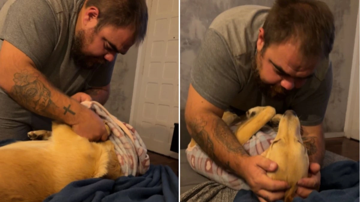 Antes de dormir, cachorrinhas ganham roupinha e carinho do tutor