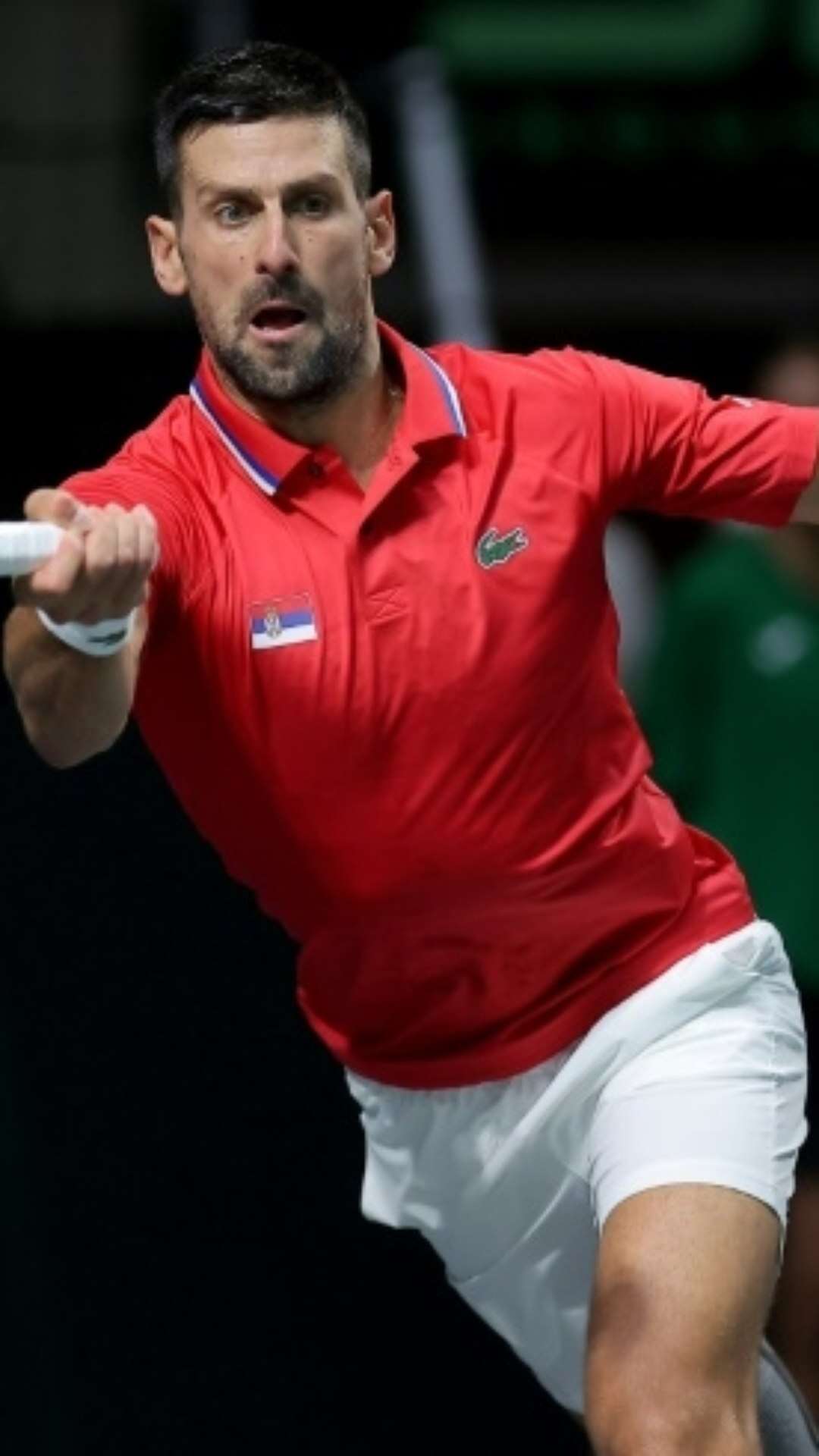 Tio de Novak Djokovic é eleito presidente da Federação Sérvia de Tênis