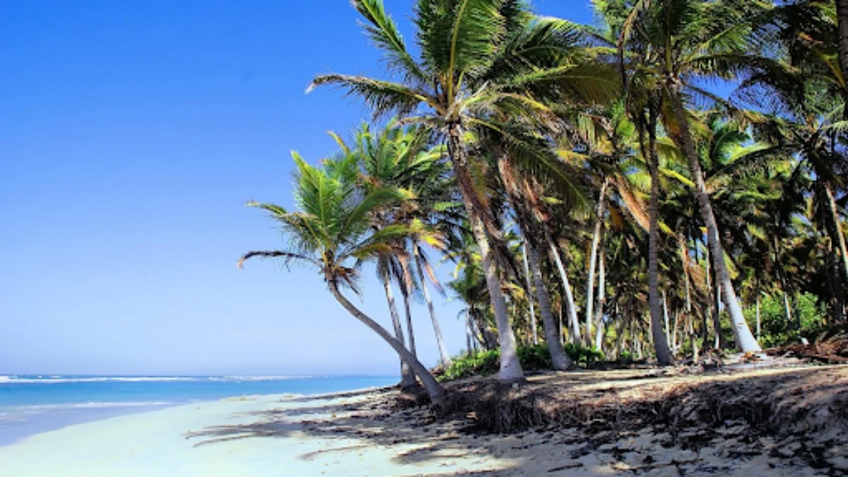 Punta Cana: o paraíso caribenho que conquistou os brasileiros