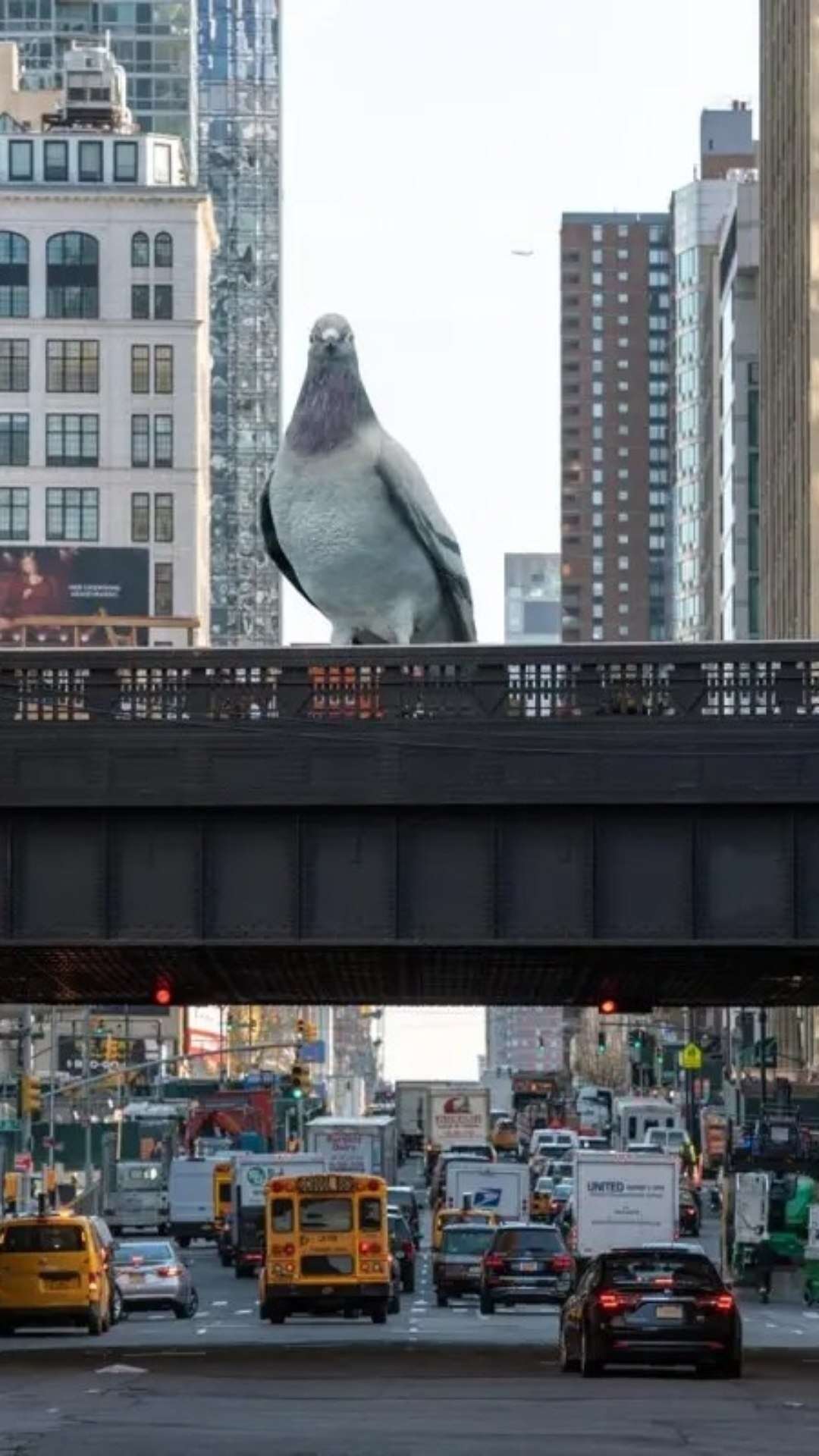 Nova York: escultura de pombo gigante aterrissa no High Line