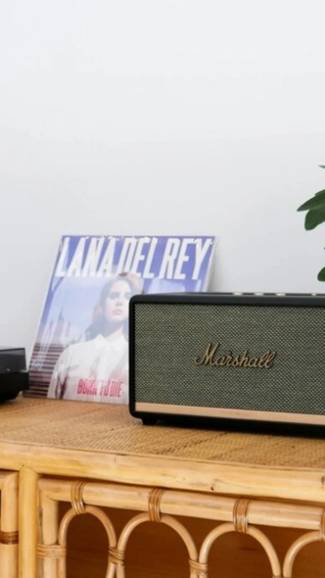 Música e energia: quais frequências podem trazer equilíbrio para você e seu ambiente