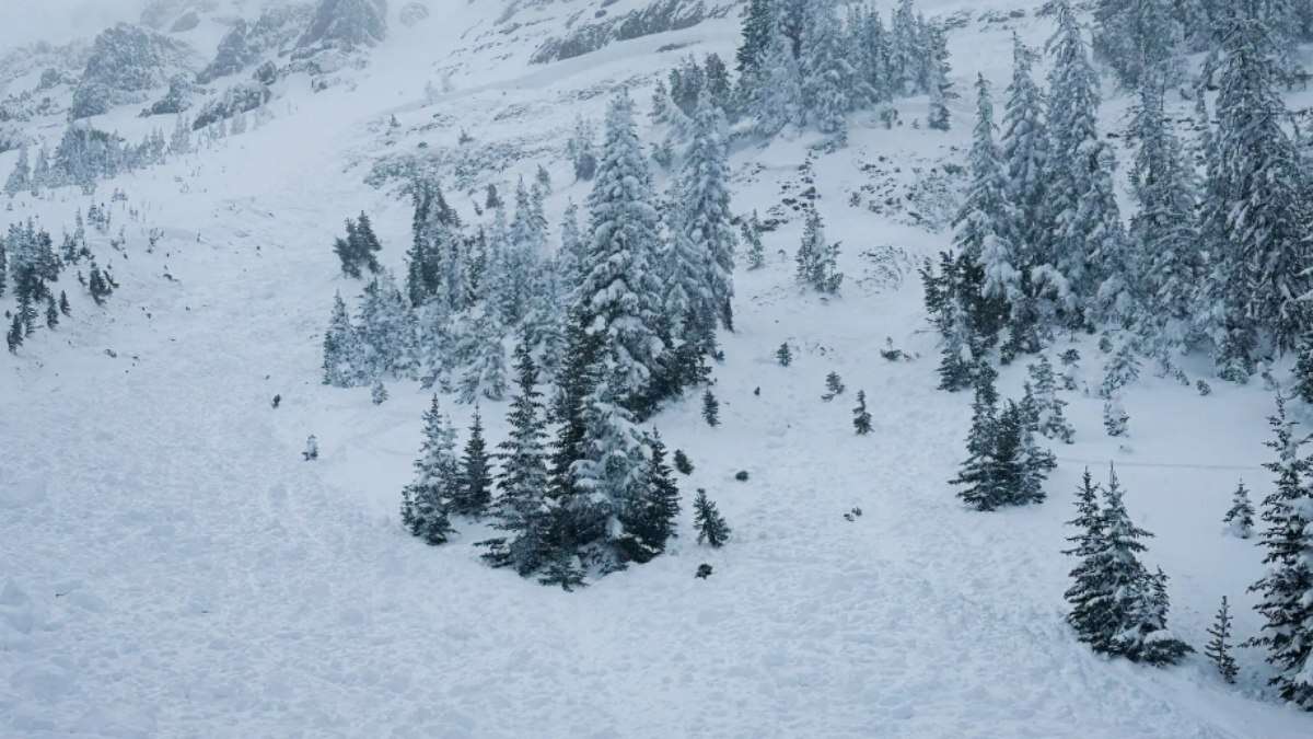 Esquiador morre após avalanche de neve o 'engolir' nos EUA