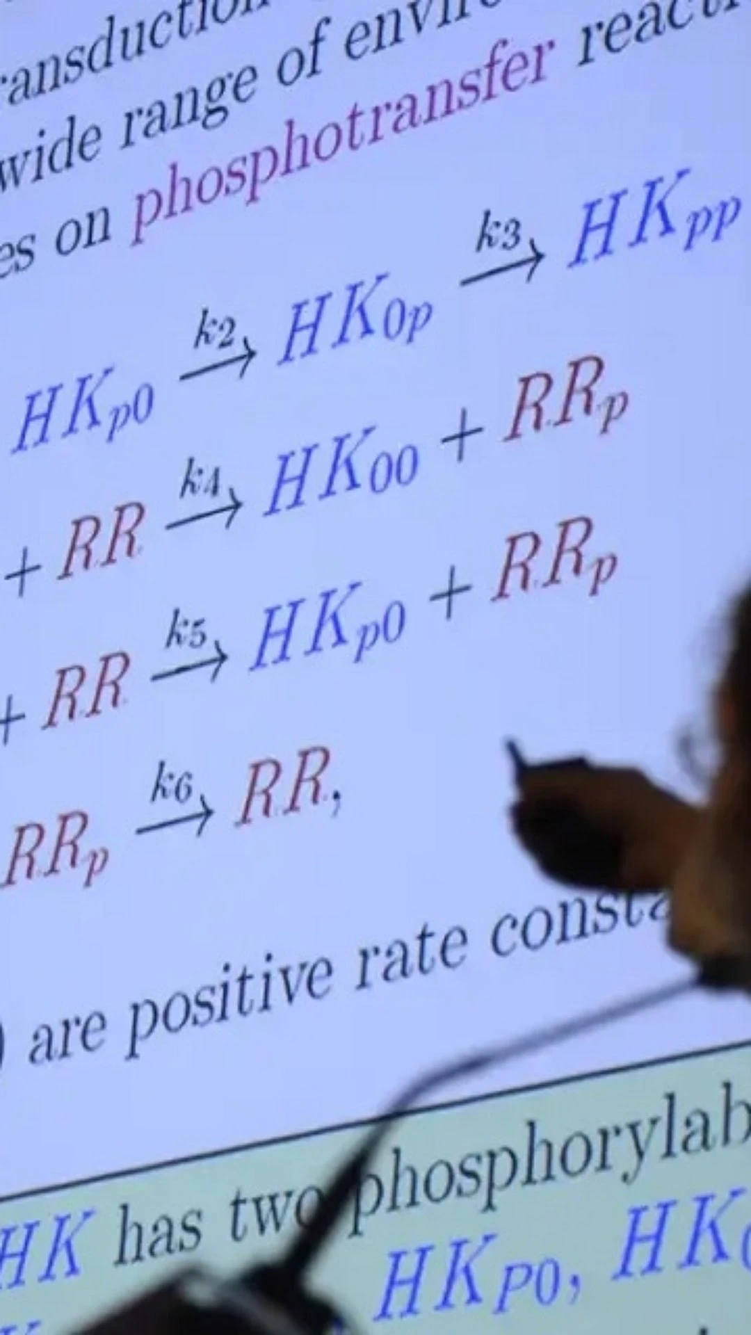 Saiba como perder o medo da matemática financeira e mandar bem nos concursos