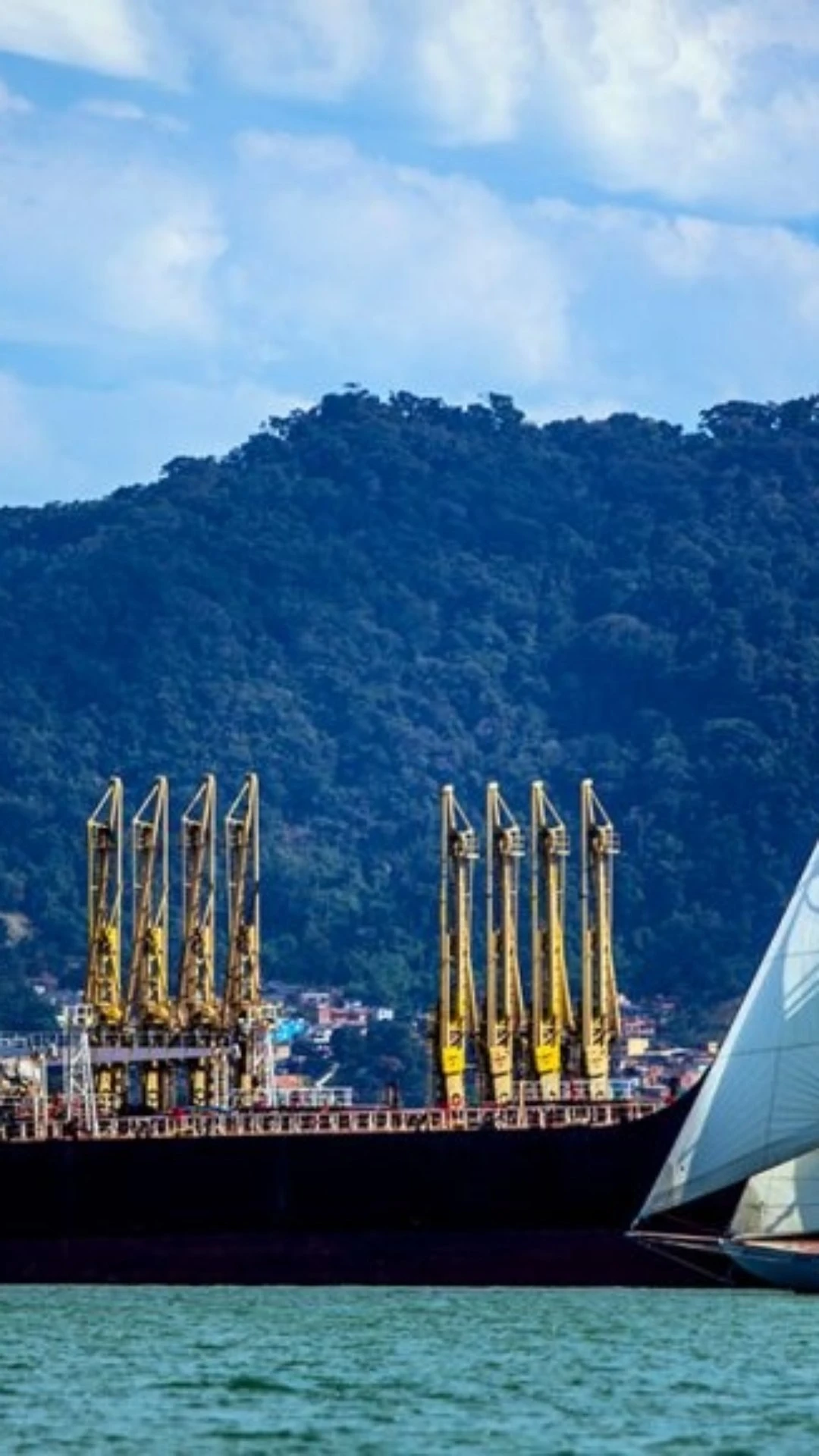 Semana Internacional de Vela de Ilhabela terá nova plataforma para resultados e regras