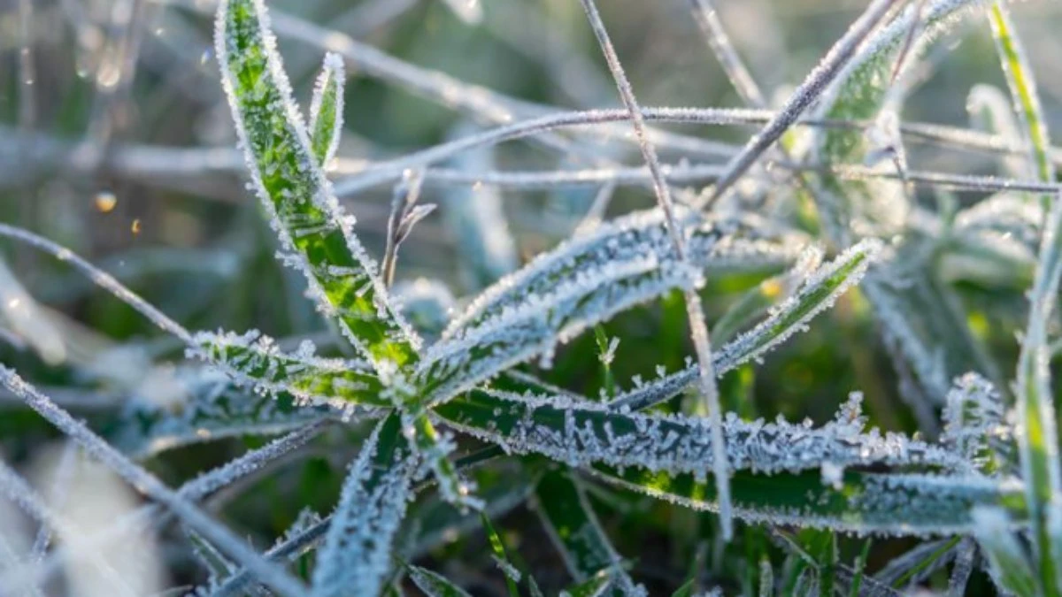 MG registra frio extremo com mínimas de -7°C no Sul do estado