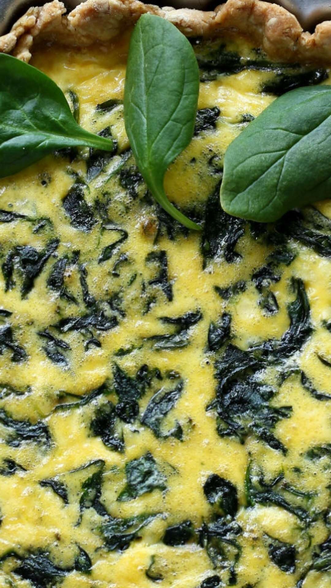 Receita de quiche de abóbora, espinafre e tofu