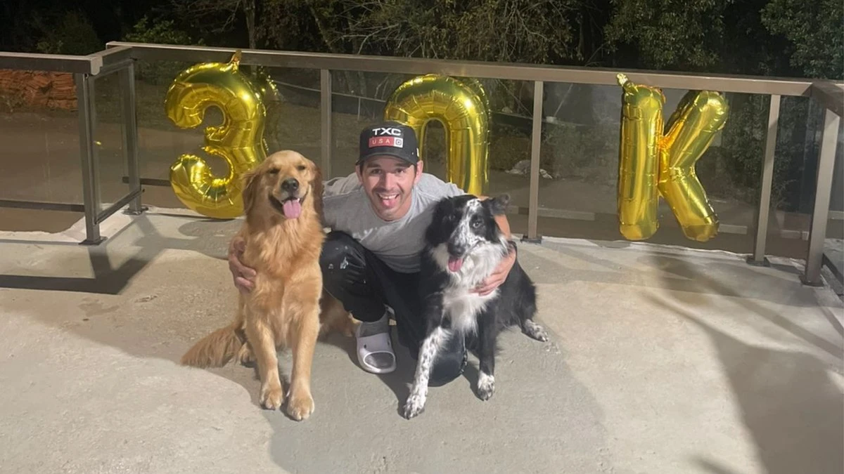 Border Collie aprende sozinha a chamar galinhas para comer