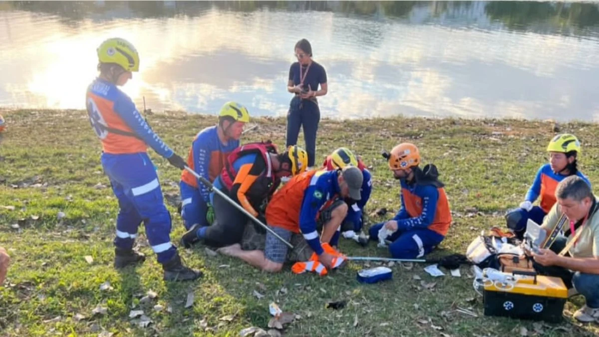 Jacaré ferido por arpões é resgatado após dois dias em MG