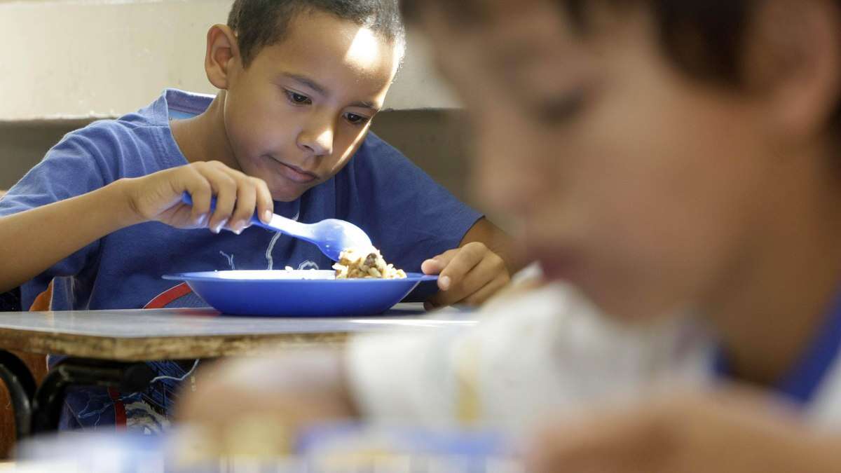 Nova merenda escolar: entenda como fica