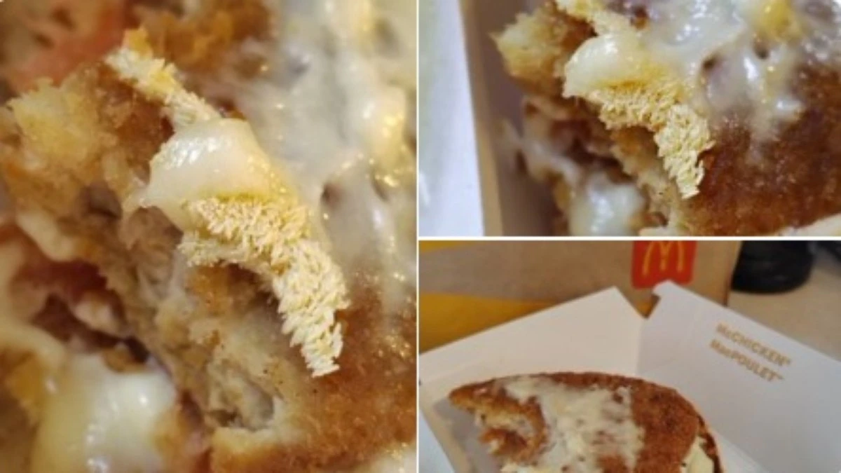 Cliente encontra larvas vivas dentro de lanche do McDonald’s