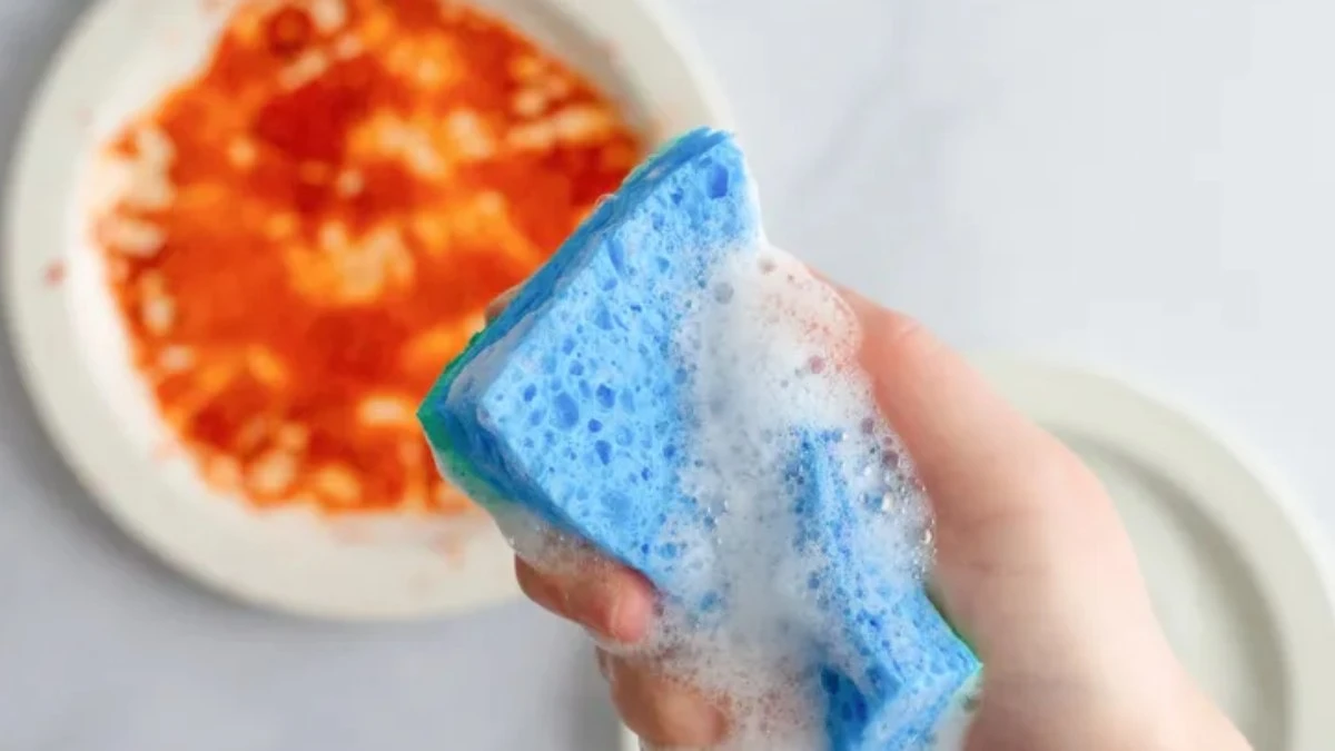 Quando trocar a esponja da cozinha?